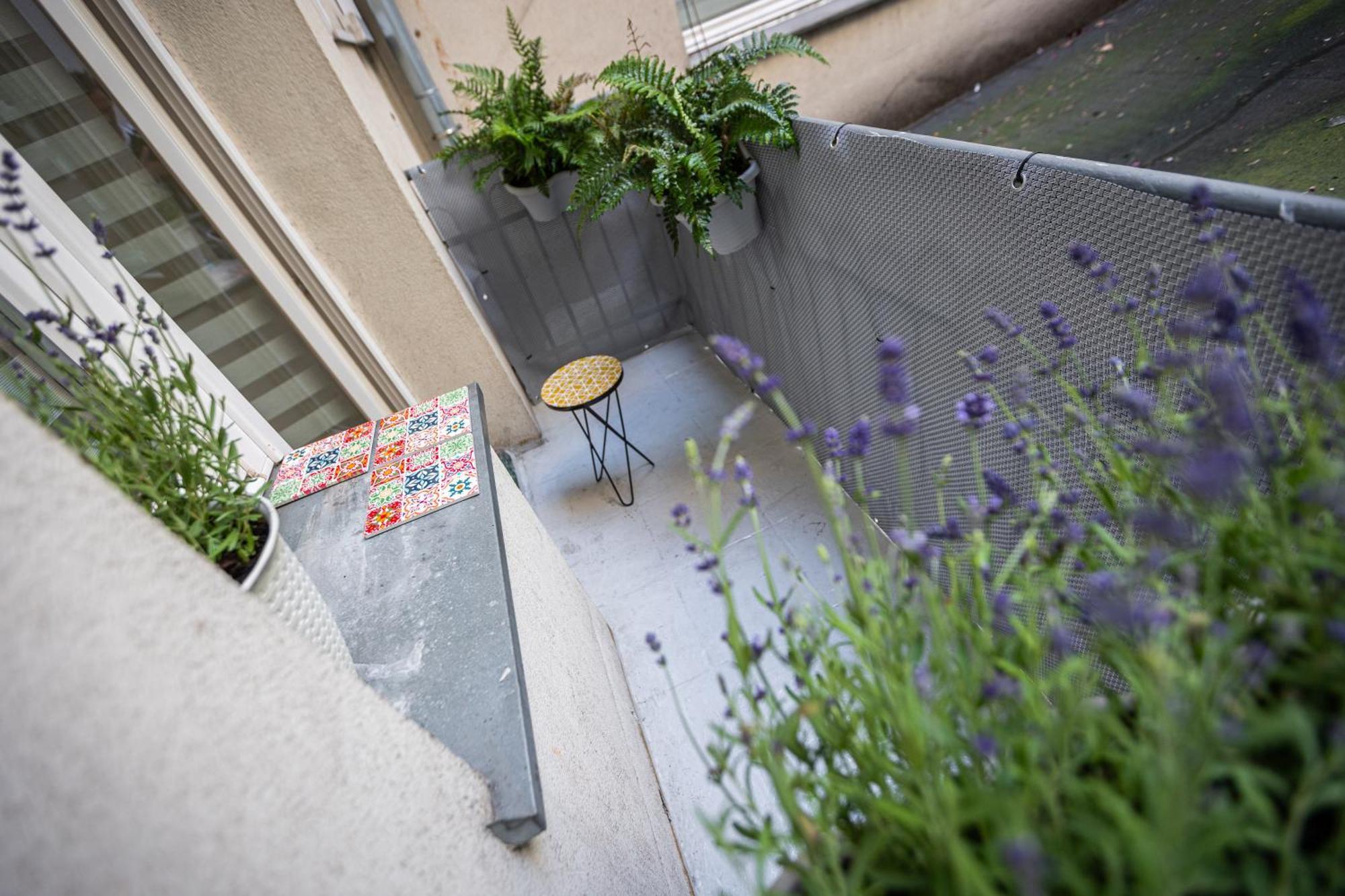 Vintage Bracka 6 Apartment